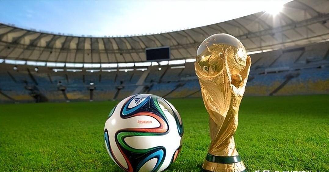 VP级别的 VP级别的