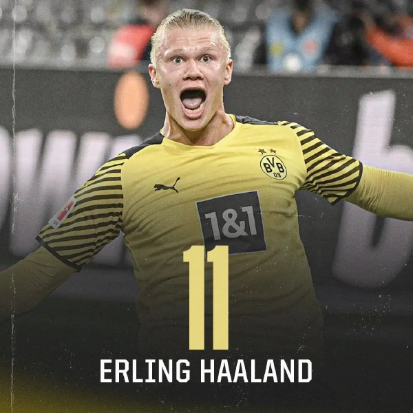 可复制的经 可复制的经